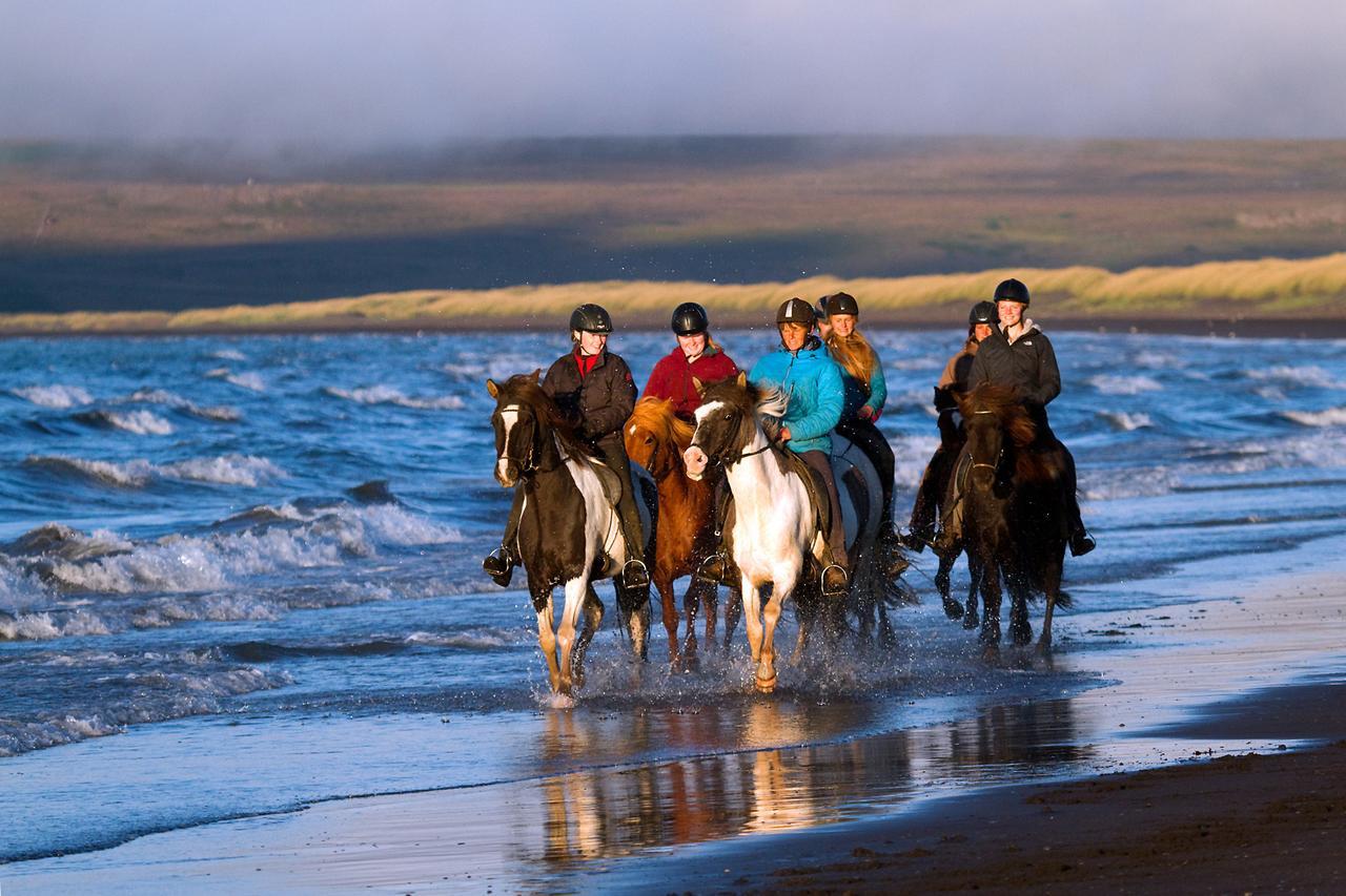 Icelandhorsetours - Helluland Saudarkrokur Екстер'єр фото