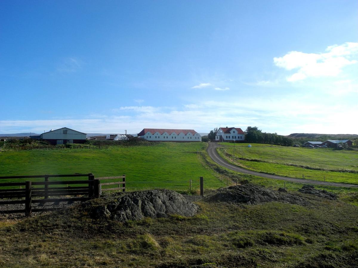 Icelandhorsetours - Helluland Saudarkrokur Екстер'єр фото