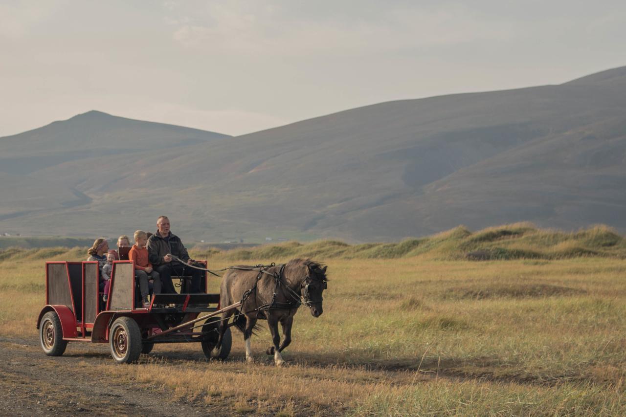 Icelandhorsetours - Helluland Saudarkrokur Екстер'єр фото